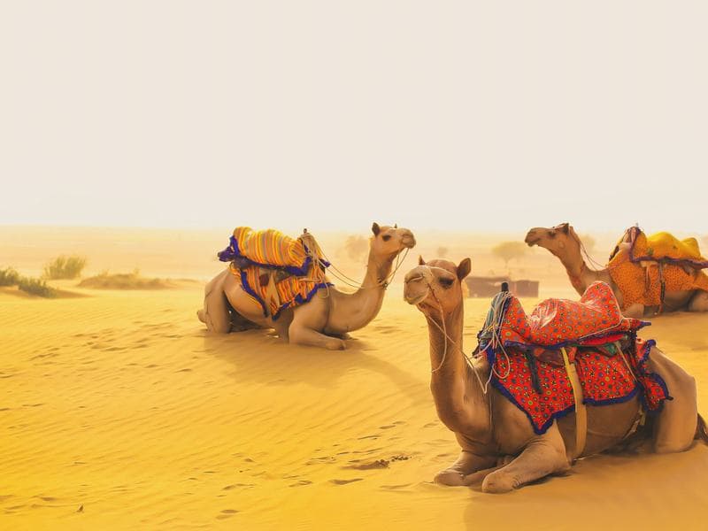 Jaisalmer