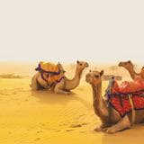 Jaisalmer