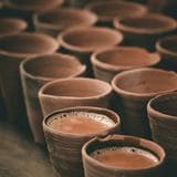 chai